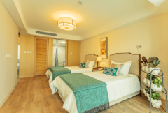 专业活及认知锻炼等